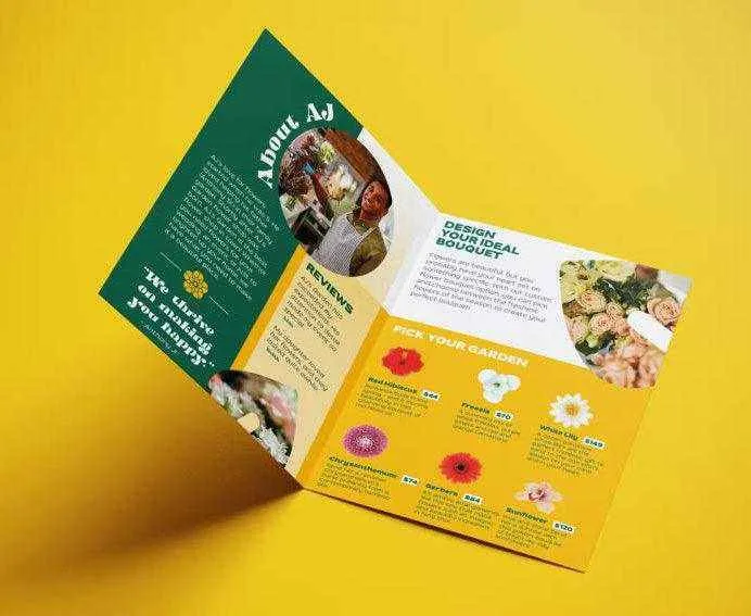 Two Fold  Brochures