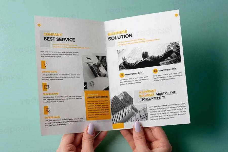 Two Fold  Brochures